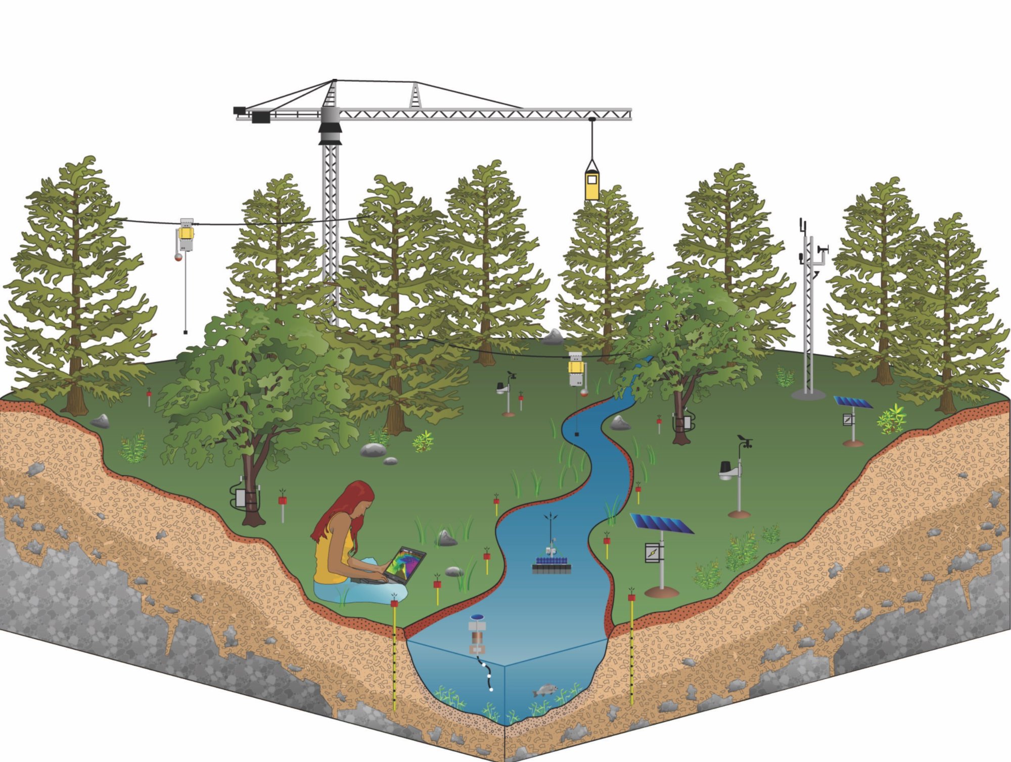 Virtual Field Station illustration showing a forest ecosystem with environmental sensors, data loggers, and monitoring equipment